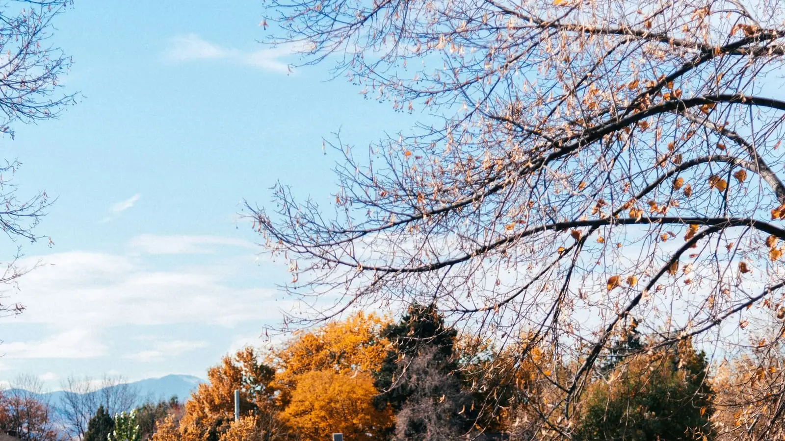Washington Park lake in Denver